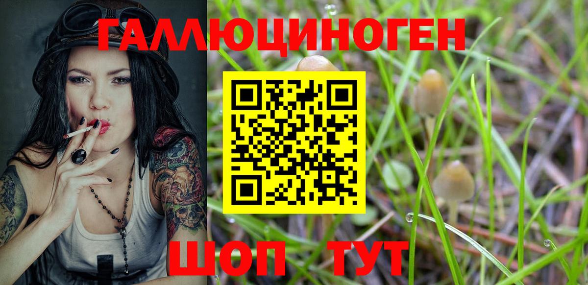 Псилоцибиновые грибы прущие грибы Канаш