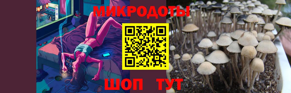 Галлюциногенные грибы Psilocybine cubensis  Псилоцибиновые грибы мухоморы  дарнет шоп  Канаш  Вход с VPN 